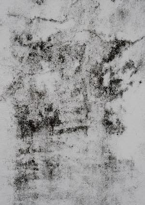 Mold removal Waukesha