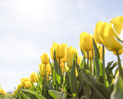 Basement Waterproofing & Foundation To-Dos for Spring