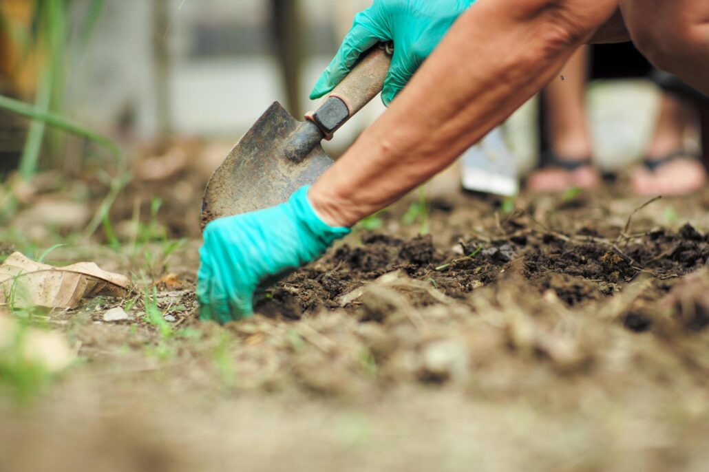 Mulch Landscaping 101 Benefits and Potential Hazards