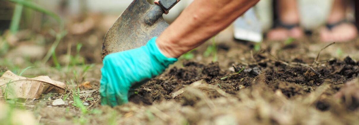 Mulch Landscaping 101 Benefits and Potential Hazards