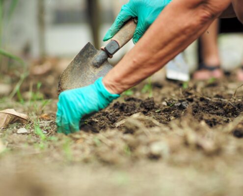 Mulch Landscaping 101 Benefits and Potential Hazards