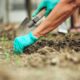 Mulch Landscaping 101 Benefits and Potential Hazards