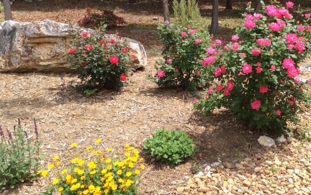 Pros and Cons of Mulch Landscaping Around Your Home