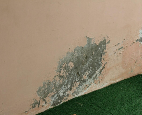 Protect Your Milwaukee Home with Expert Waterproofing
