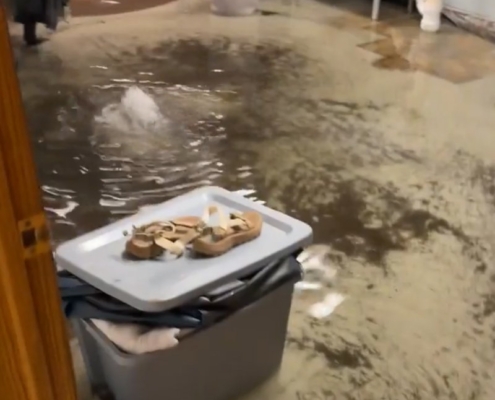 Why You Need a Backup Sump Pump During Heavy Rain and Floods