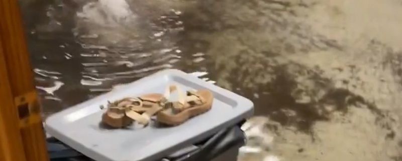 Why You Need a Backup Sump Pump During Heavy Rain and Floods