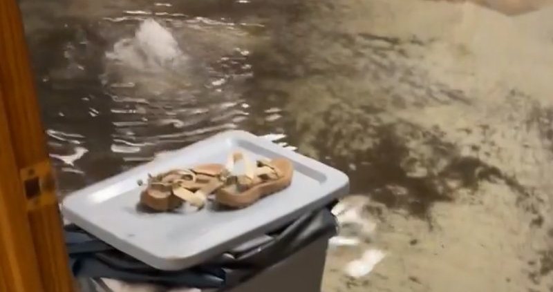 Why You Need a Backup Sump Pump During Heavy Rain and Floods