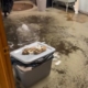 Why You Need a Backup Sump Pump During Heavy Rain and Floods