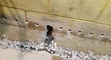 Waterproofing companies near me