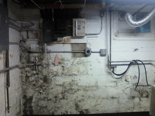 waterproofing services Hartland WI Before