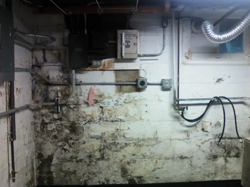 Best Basement Waterproofing Contractor Kenosha, WI